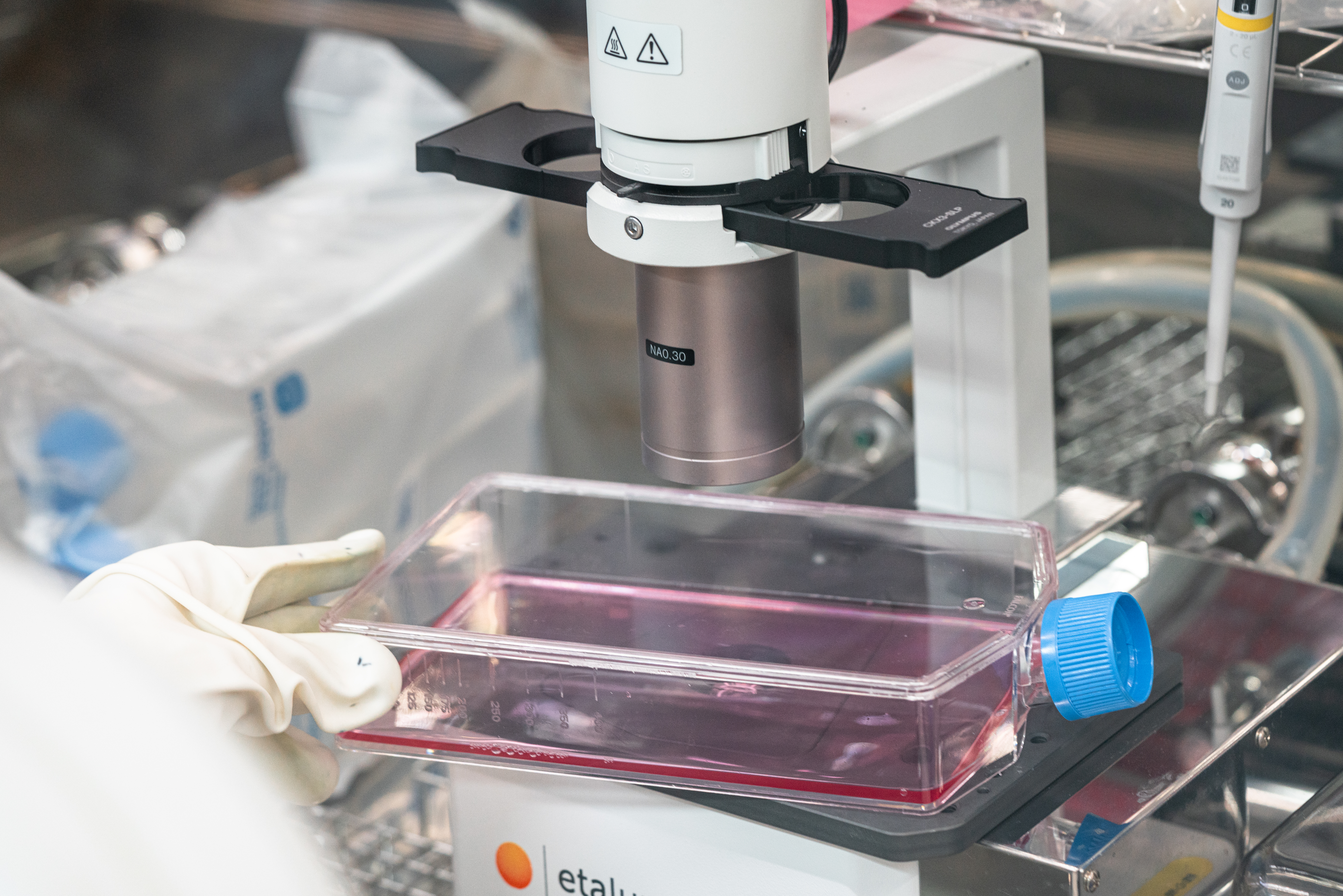 圖說：細胞治療「去中心化」成趨勢，生物製劑透過在地化生產，能大幅縮短冷鏈成本與等待時間，為搶救生命爭取存活關鍵。（資料來源：亞家生技）