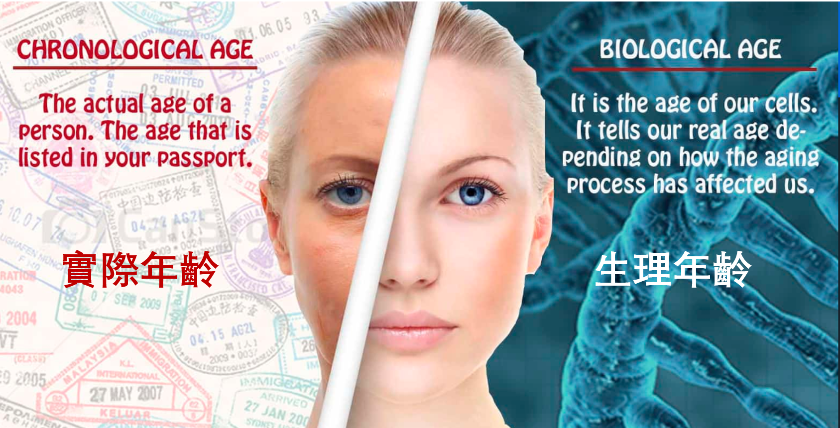 MyTruHealth and MyTruAge DNA Methylation Tests